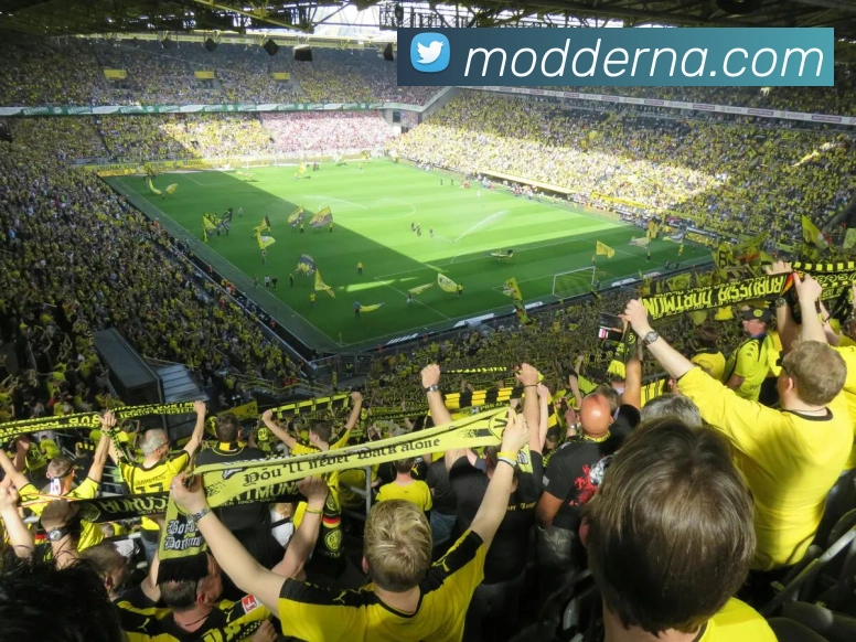 pg平台登录入口官网APP 封面图